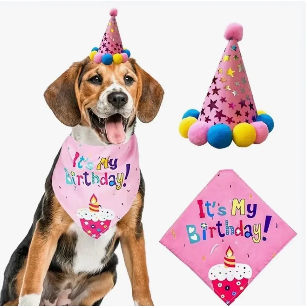 Pink Dog Birthday Bandana and Party Hat Set NEW celebrate
